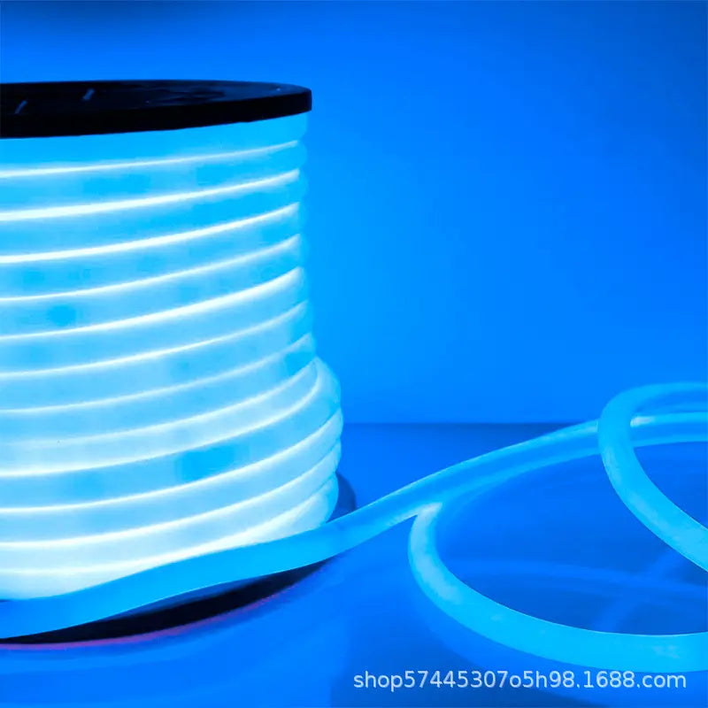 Neon Flex LED albastru 100m rotund 360 grade pentru iluminat decorativ exterior gradina terasa